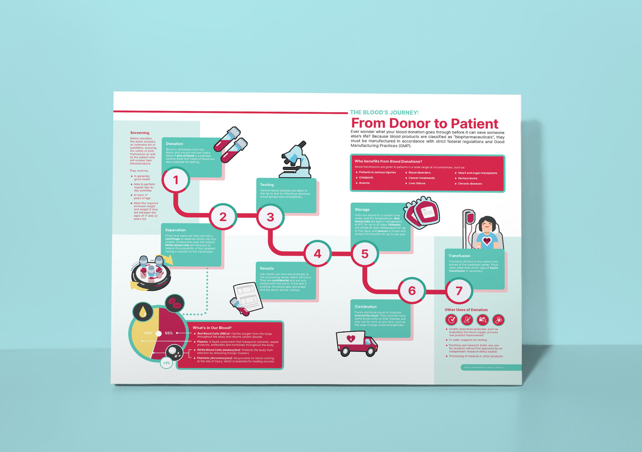 2025 - Information Design: The Blood's Journey