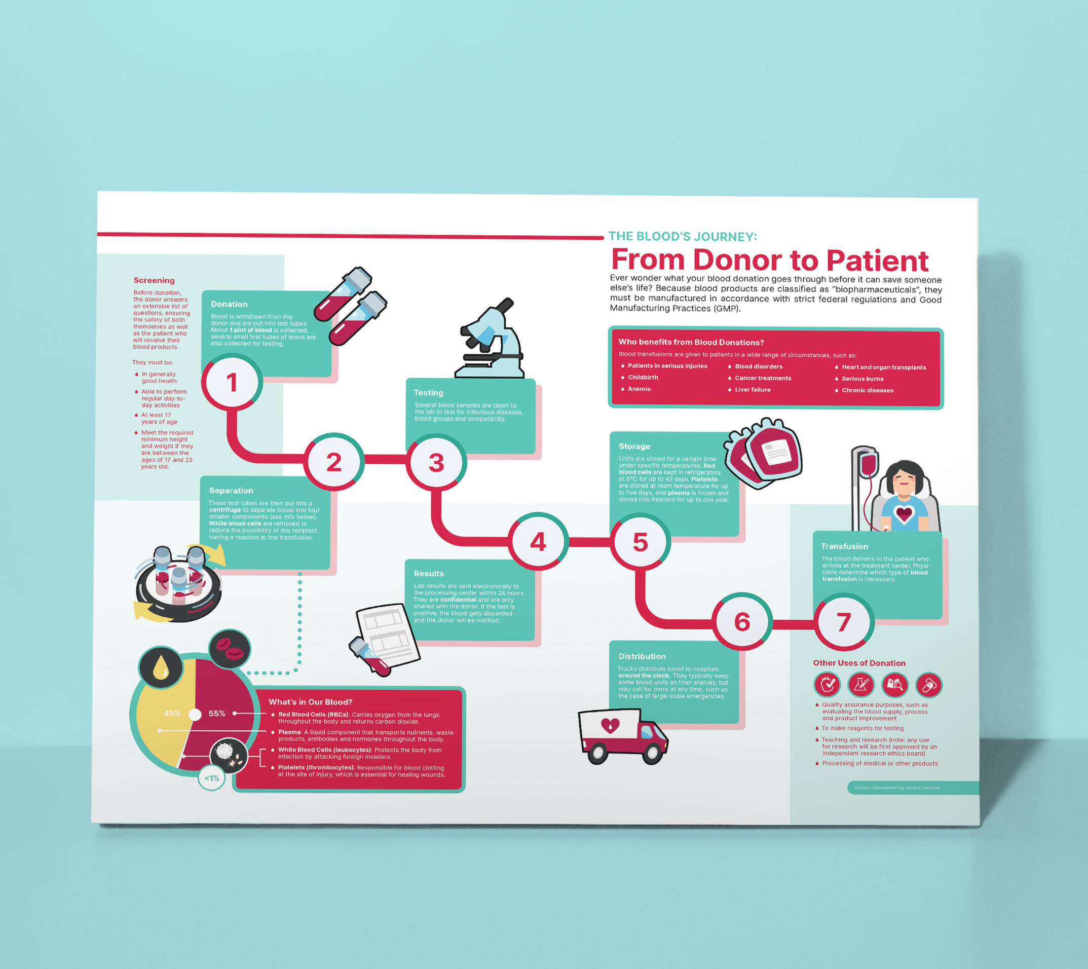 2025 - Information Design: The Blood's Journey